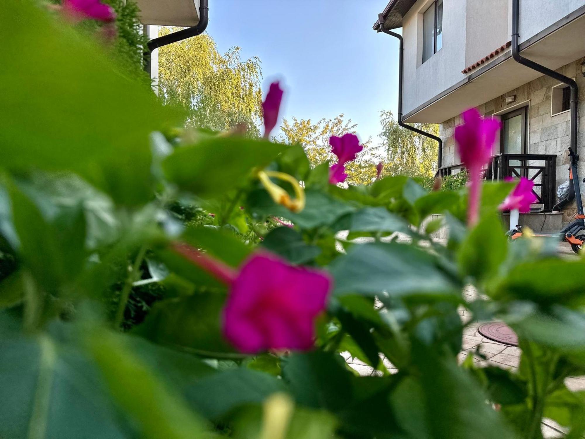 Menada Imperial Heights Villas サニービーチ エクステリア 写真